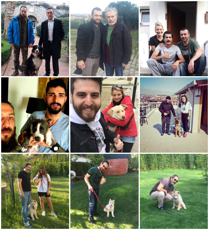 Positive Dogs Referansları